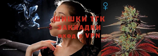 сатива Переславль-Залесский