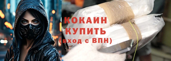 сатива Осинники