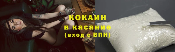 сатива Осинники
